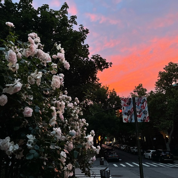 Meet your Posher, Jean - Picture 1 of 1